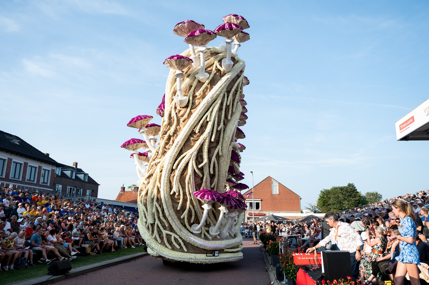 Mycelium 'Een netwerk van schimmeldraden', Foto José van Trijp fotografie