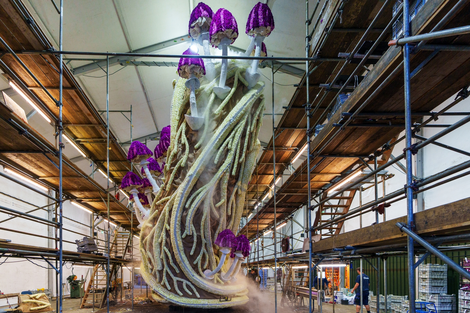 Mycelium 'Een netwerk van schimmeldraden', Foto Paul Ranft
