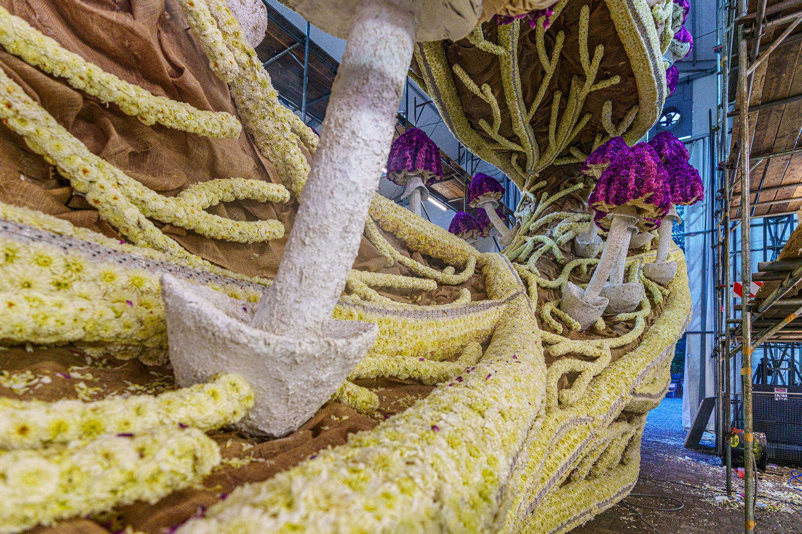 Mycelium 'Een netwerk van schimmeldraden', Foto Paul Ranft