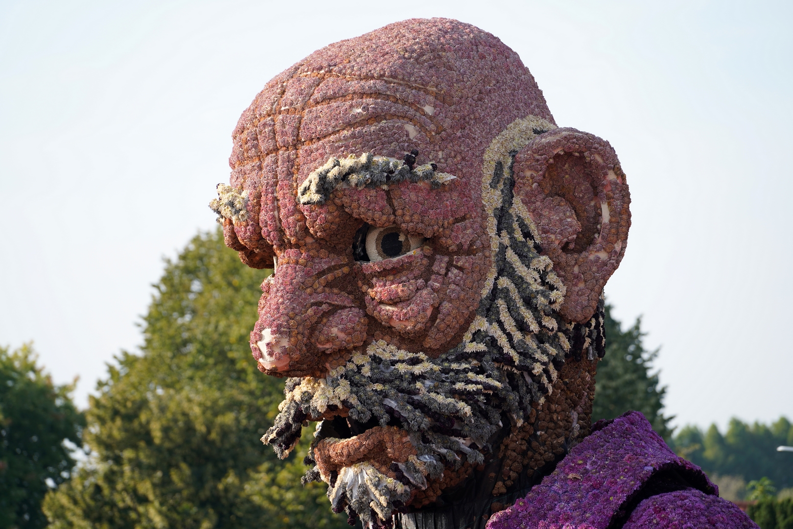 Geppetto, Foto Sander Vlug