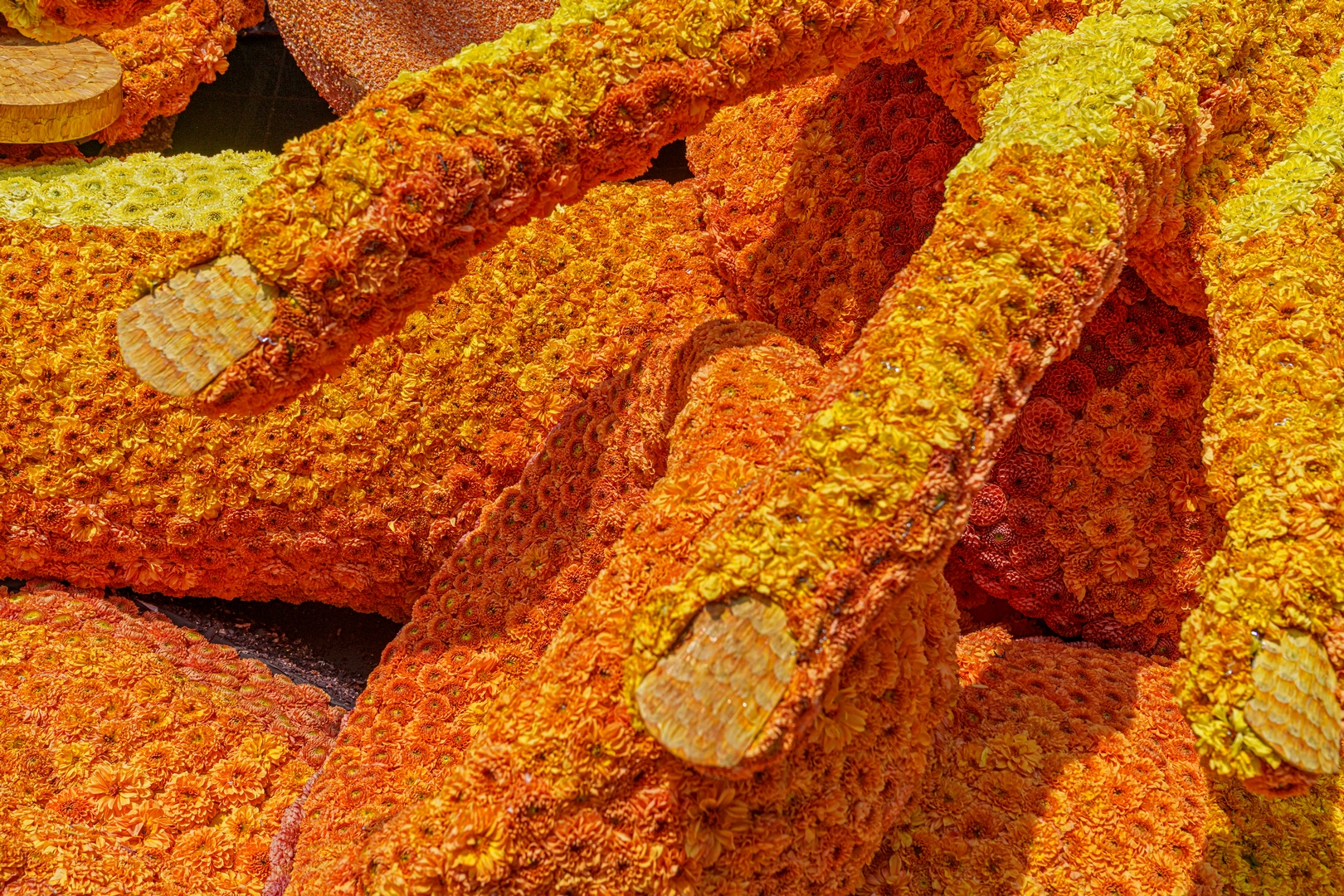 Hebzucht, Foto Paul Ranft