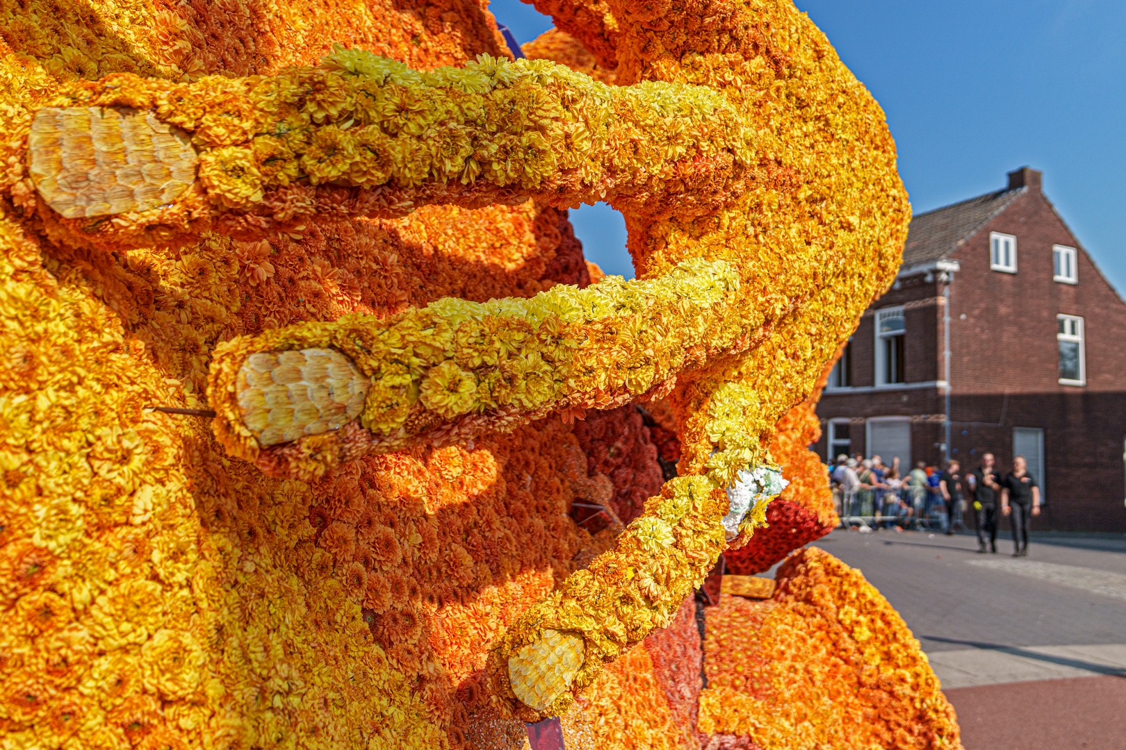 Hebzucht, Foto Paul Ranft