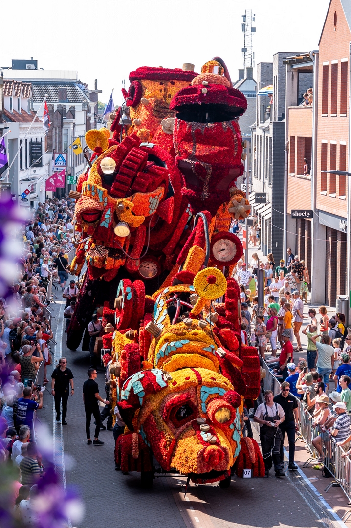 Afgeschreven, Foto José van Trijp fotografie