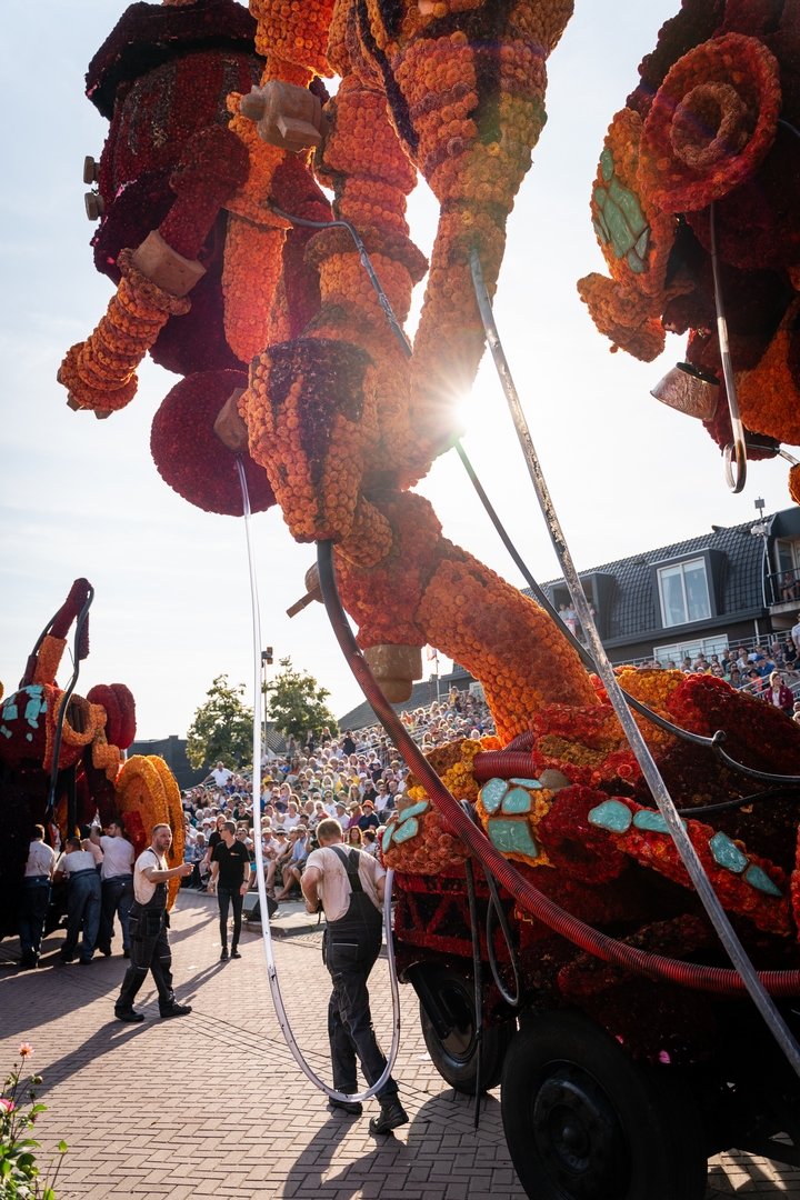 Afgeschreven, Foto Eefje fotografie