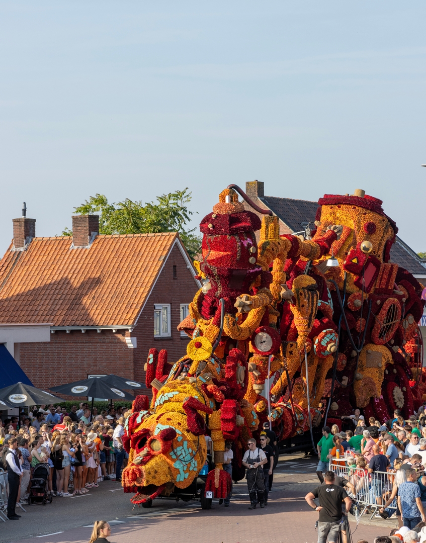 Afgeschreven, Foto Judith van Aert