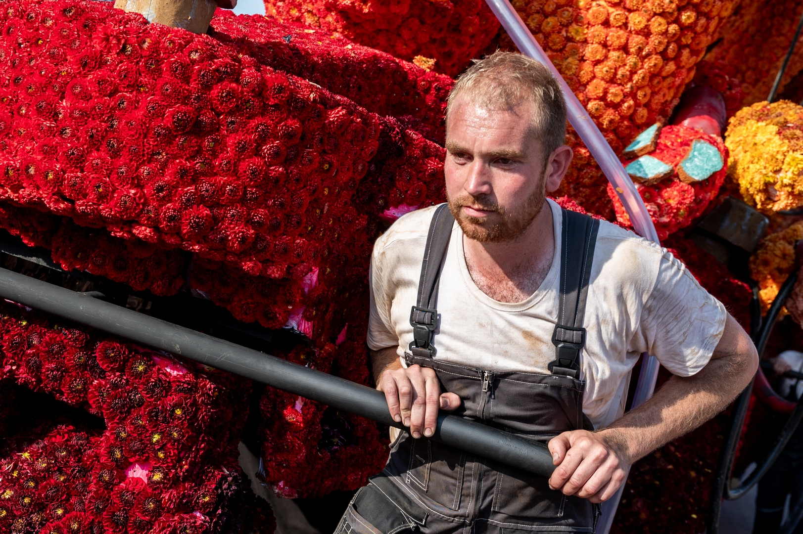Afgeschreven, Foto José van Trijp fotografie