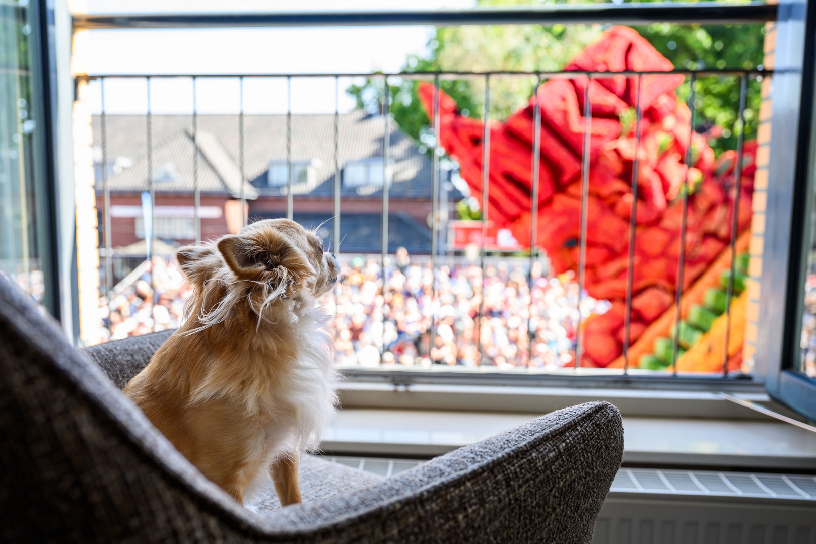 Chaac, Foto José van Trijp fotografie