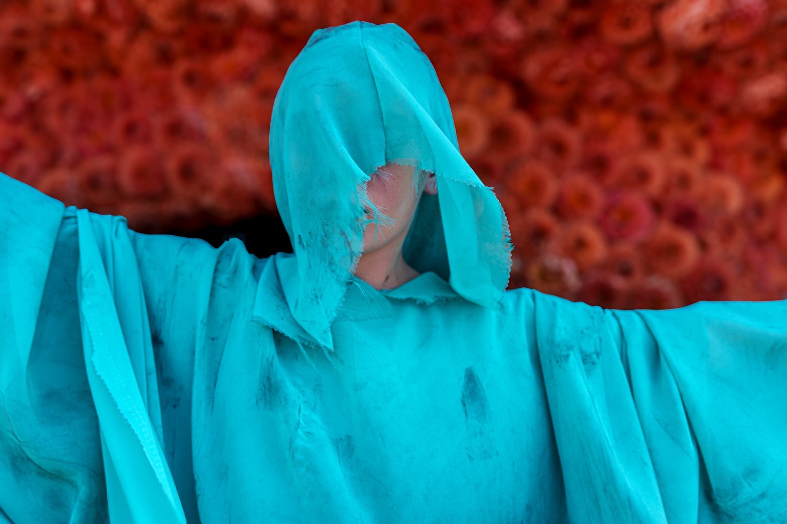 Odoodem, Foto Paul Ranft