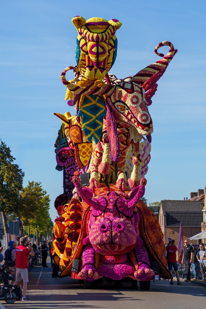 Alebrijes, Foto Paul Ranft