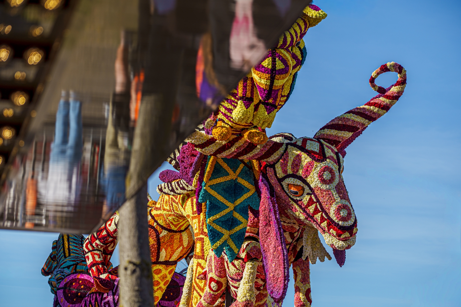 Alebrijes, Foto Paul Ranft