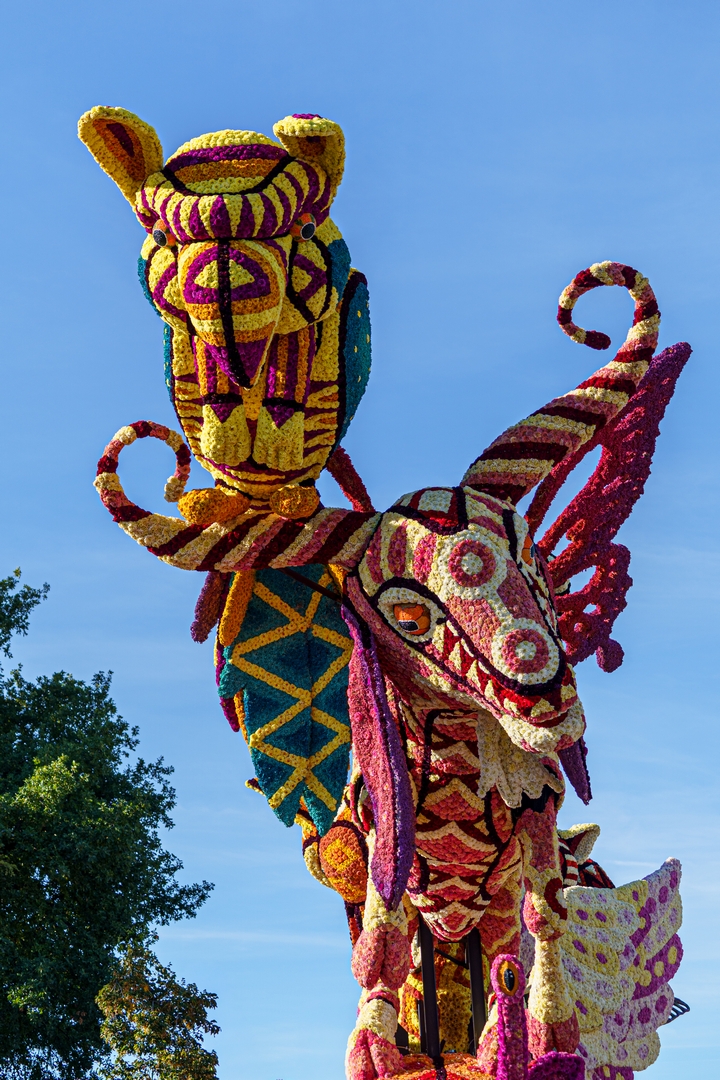 Alebrijes, Foto Paul Ranft