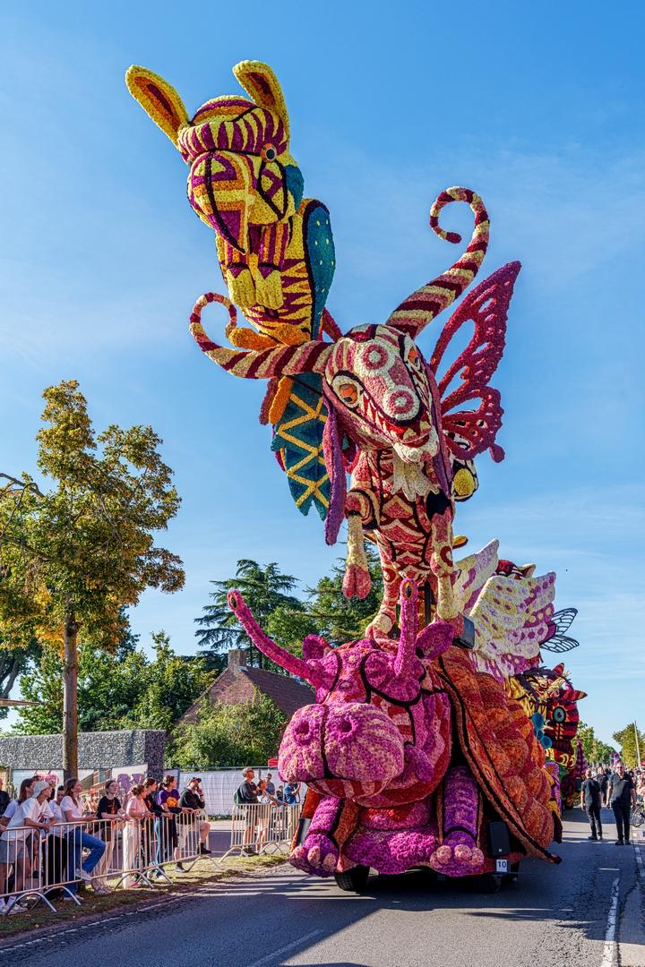 Alebrijes, Foto Paul Ranft