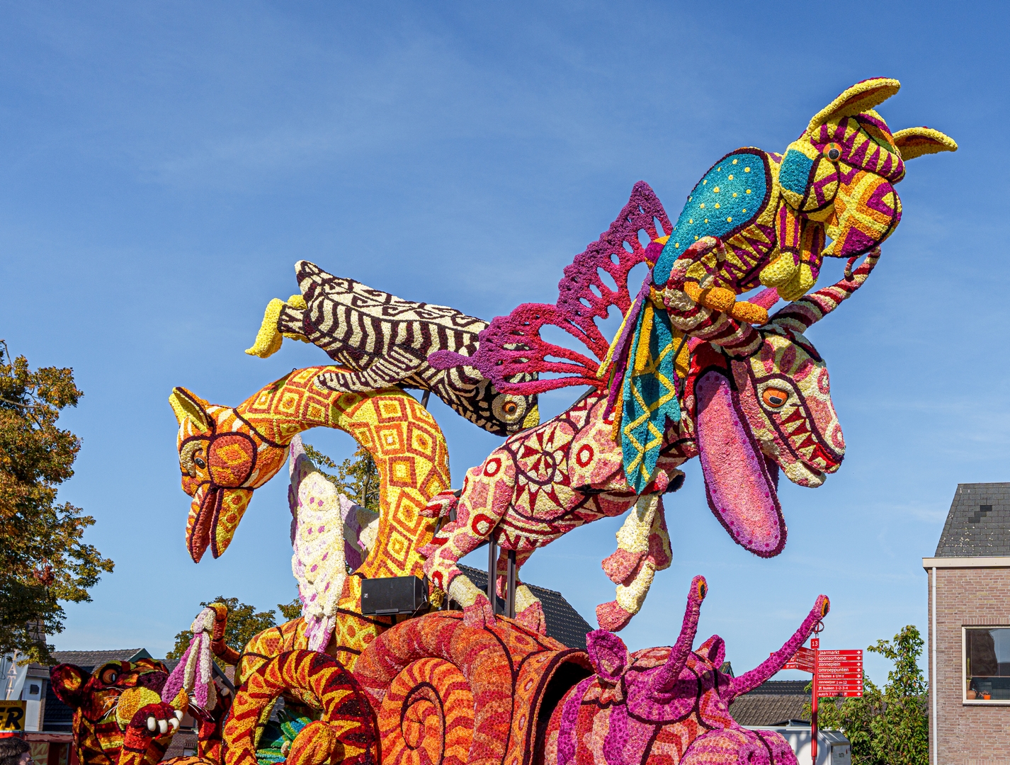 Alebrijes, Foto Paul Ranft