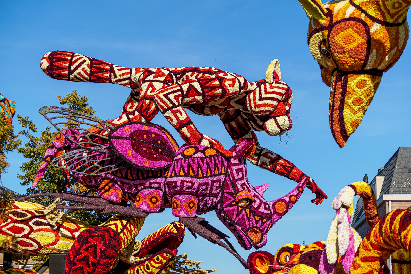 Alebrijes, Foto Paul Ranft