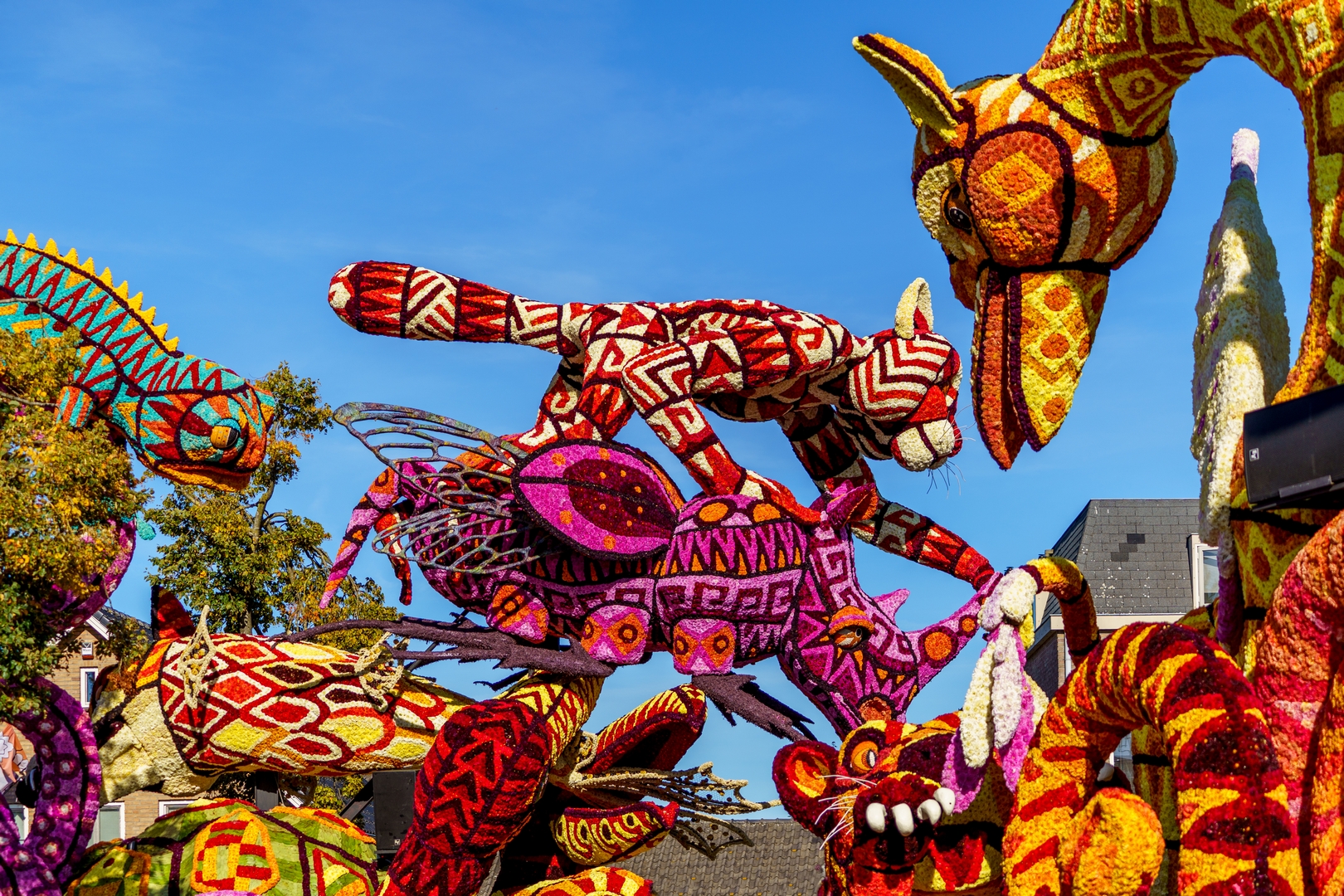 Alebrijes, Foto Paul Ranft