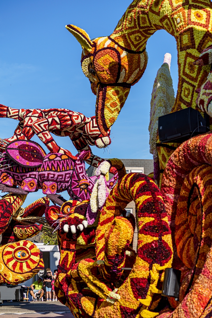 Alebrijes, Foto Paul Ranft