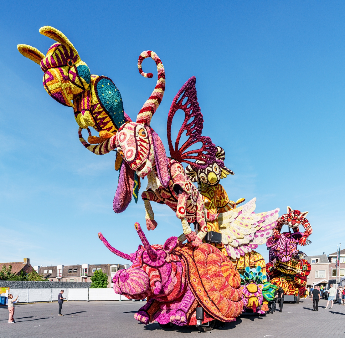 Alebrijes, Foto Paul Ranft