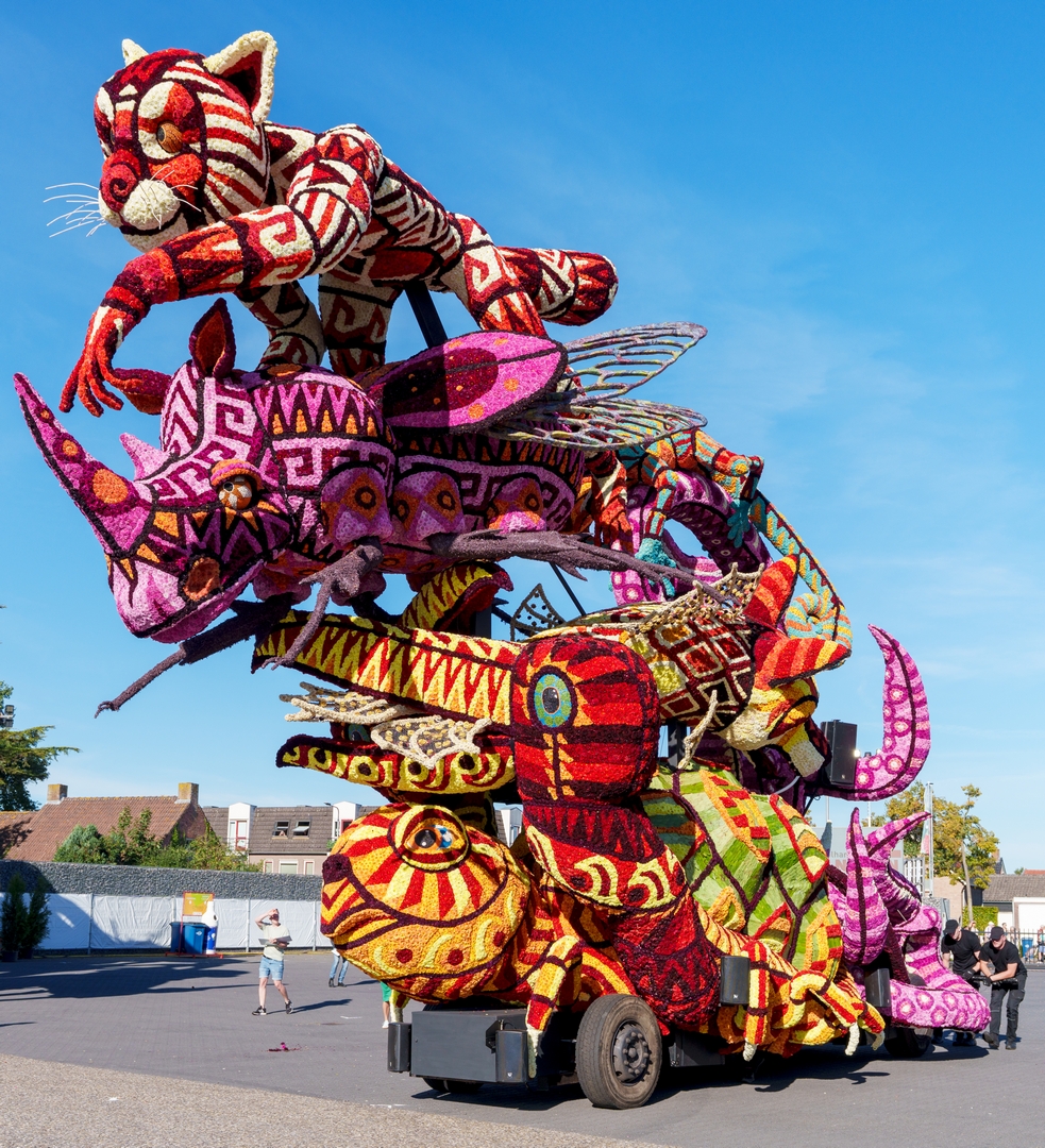 Alebrijes, Foto Paul Ranft