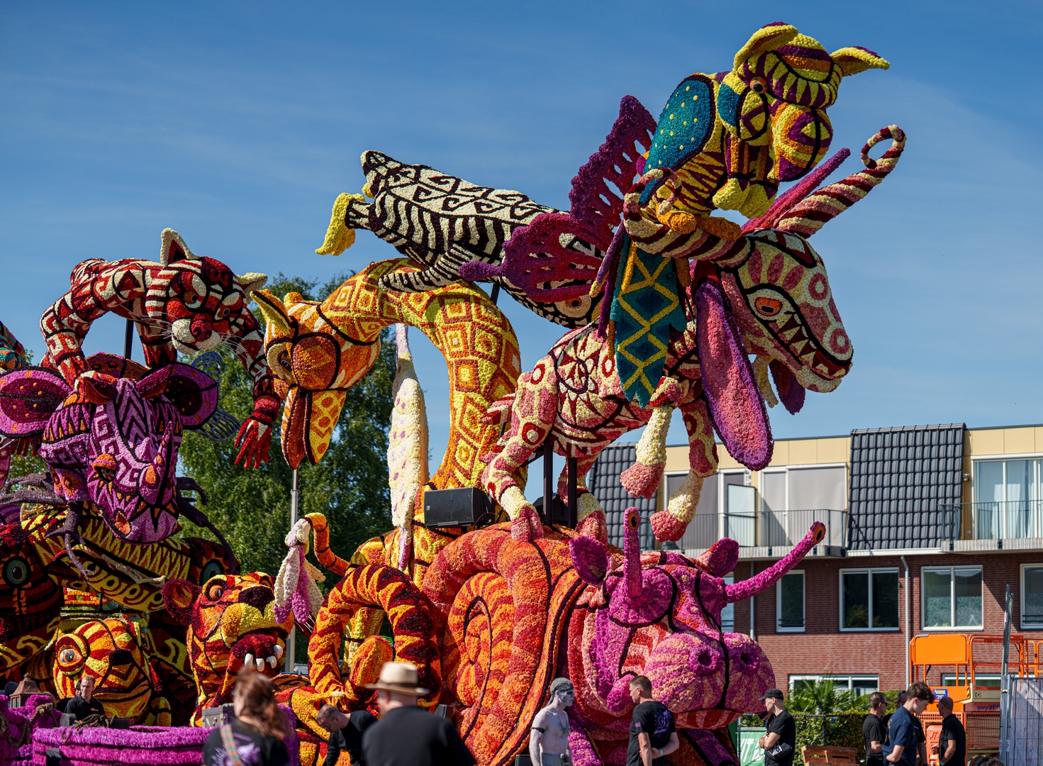 Alebrijes, Foto Paul Ranft
