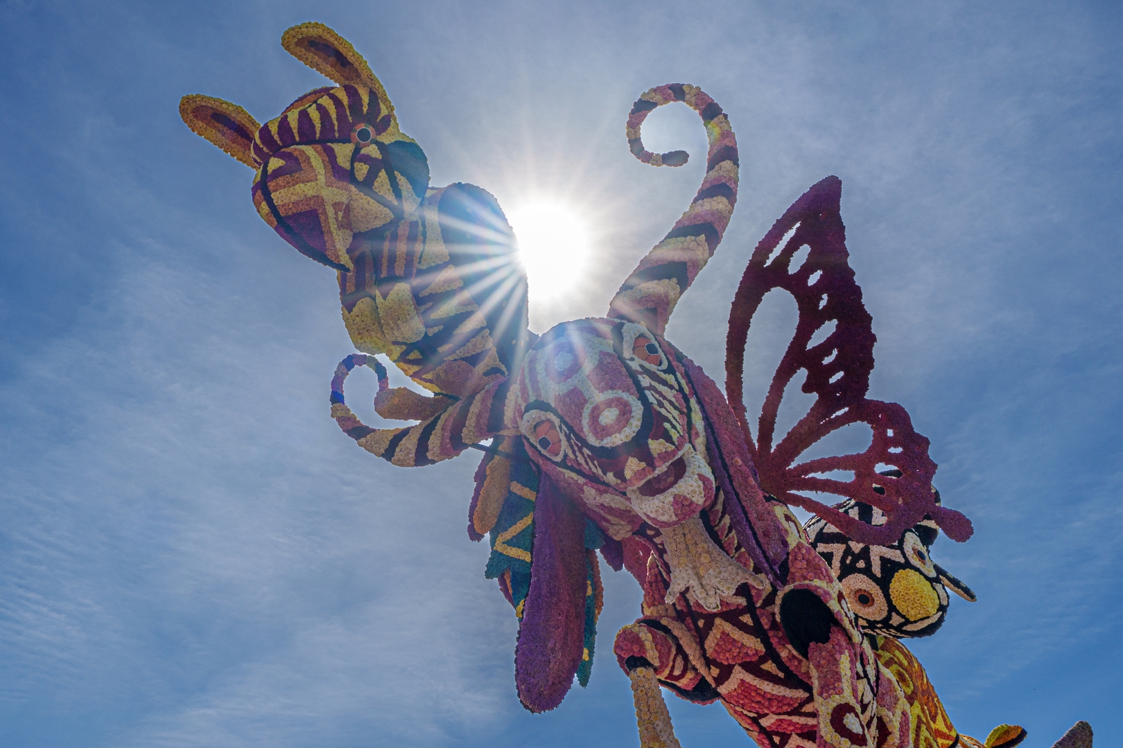 Alebrijes, Foto Paul Ranft