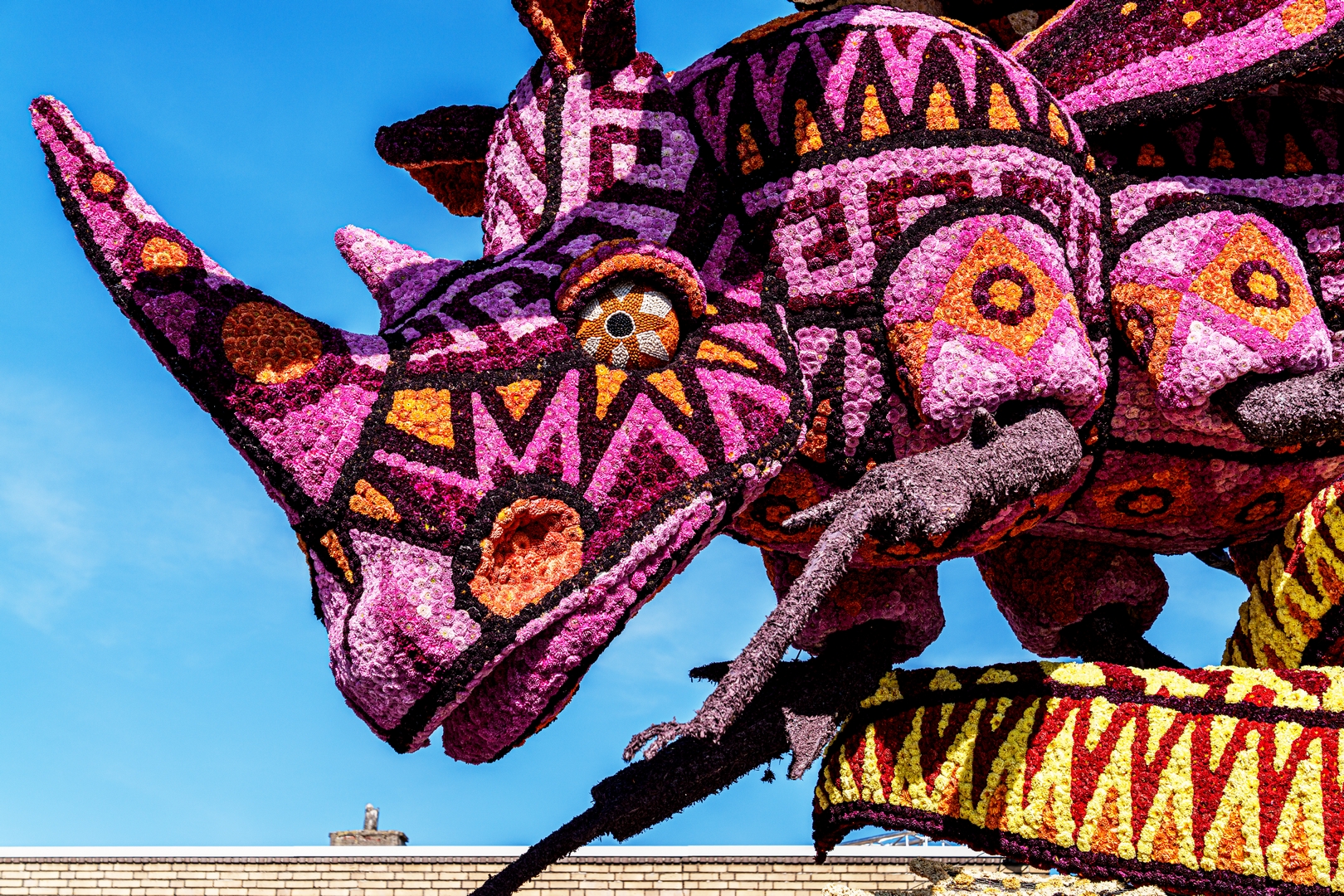 Alebrijes, Foto Paul Ranft