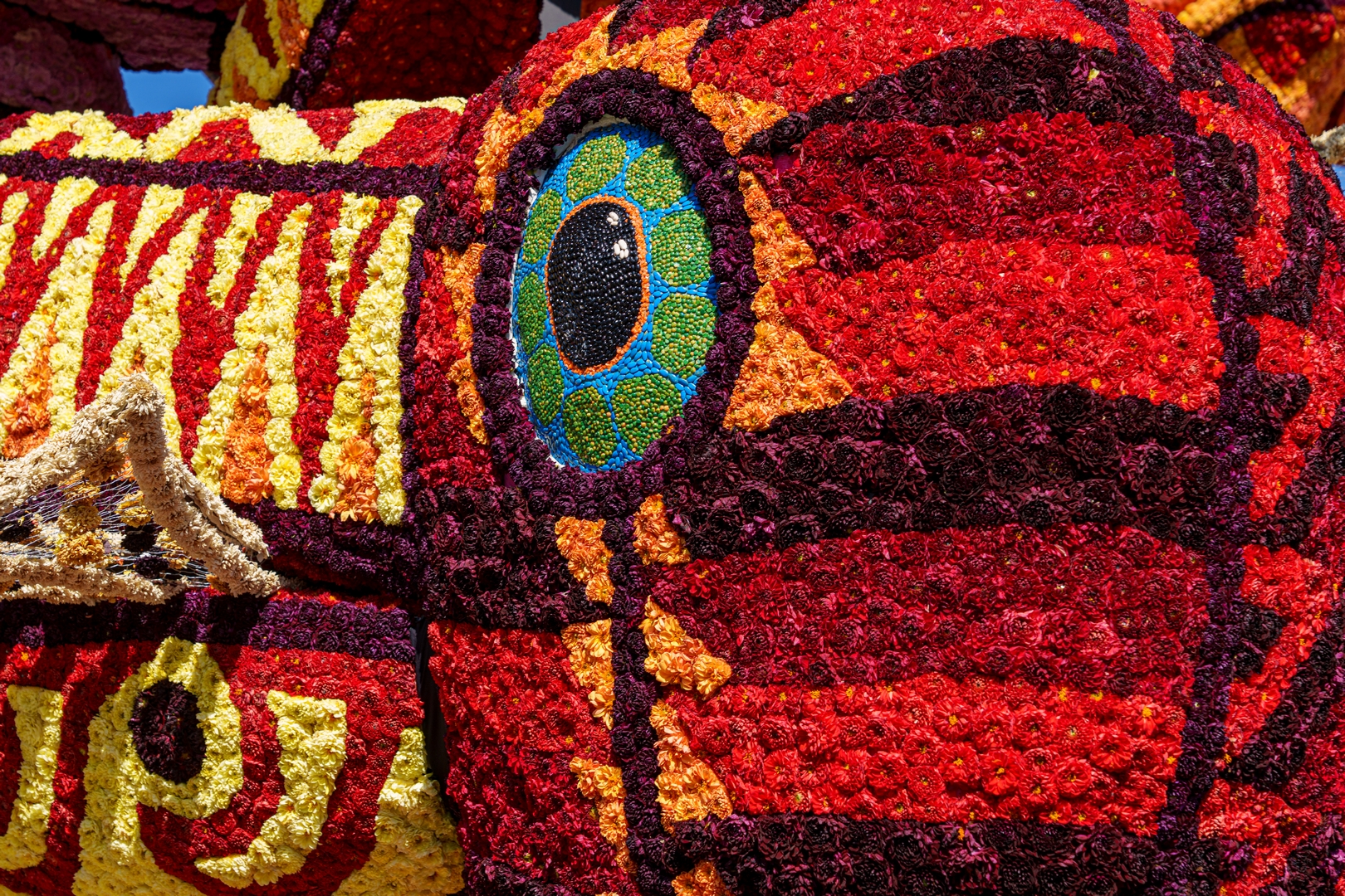 Alebrijes, Foto Paul Ranft
