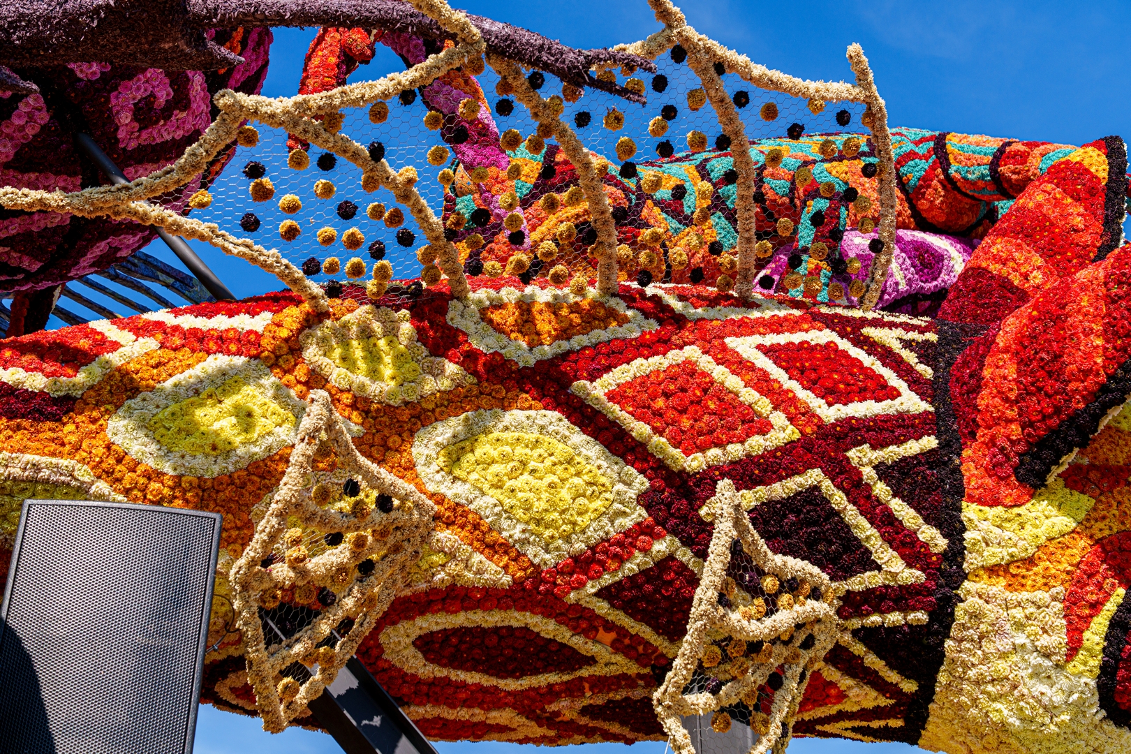 Alebrijes, Foto Paul Ranft