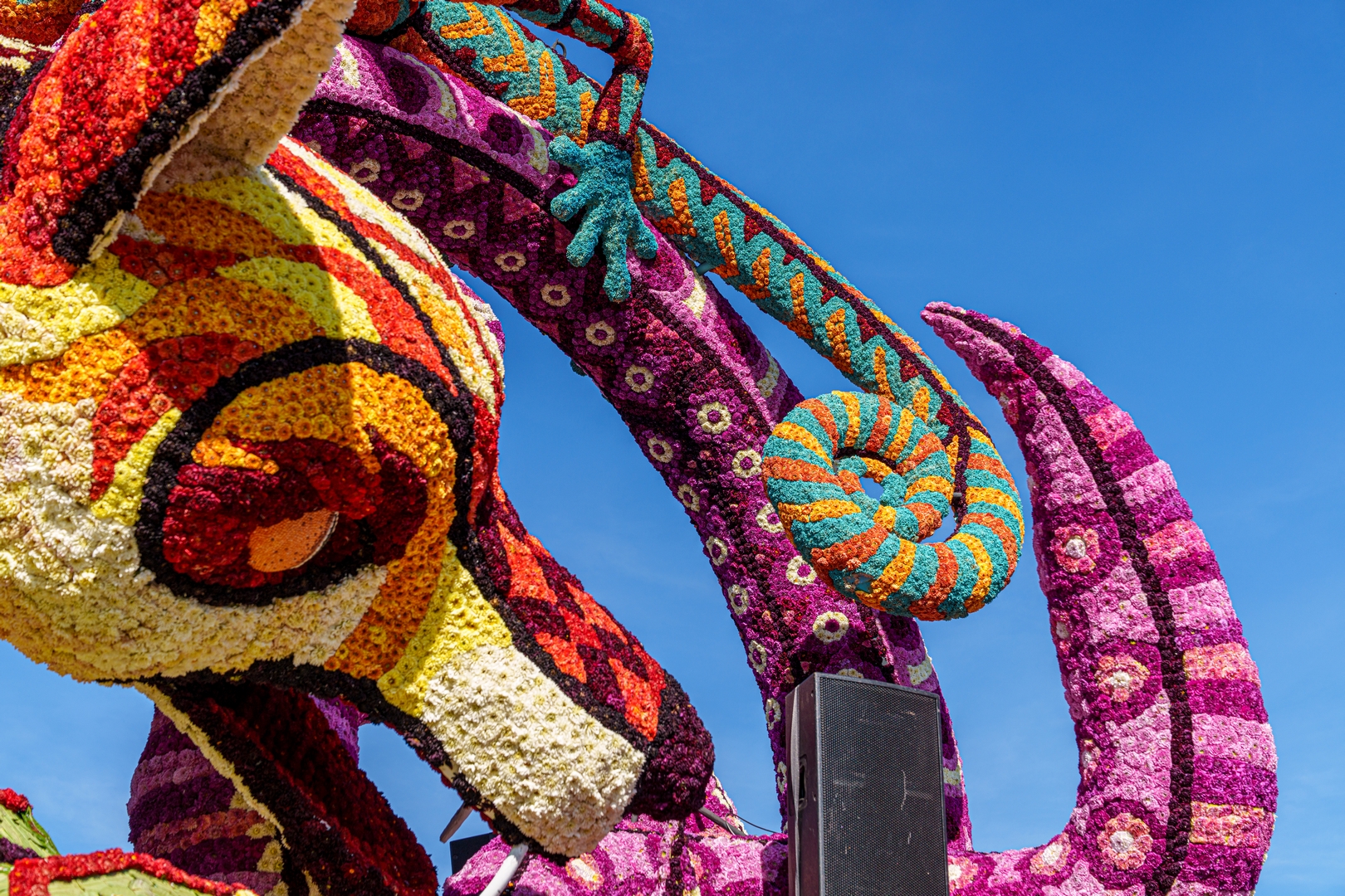 Alebrijes, Foto Paul Ranft
