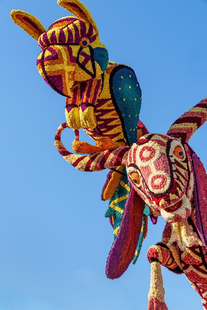 Alebrijes, Foto Paul Ranft