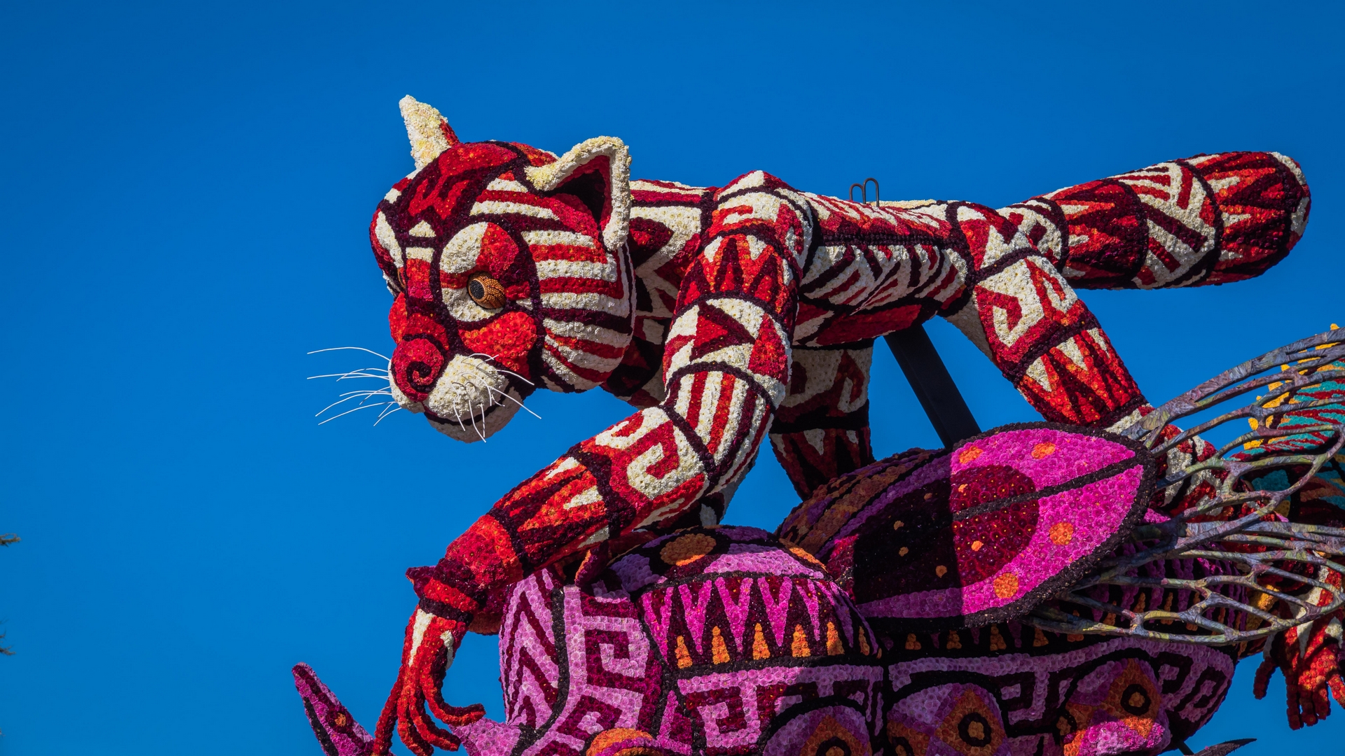 Alebrijes, Foto Charles van Campenhout