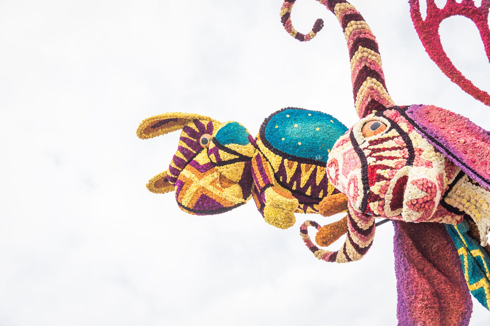 Alebrijes, Foto Charles van Campenhout