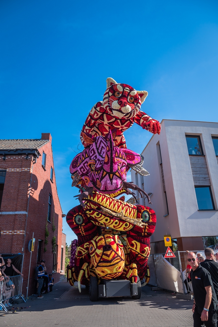 Alebrijes, Foto Charles van Campenhout