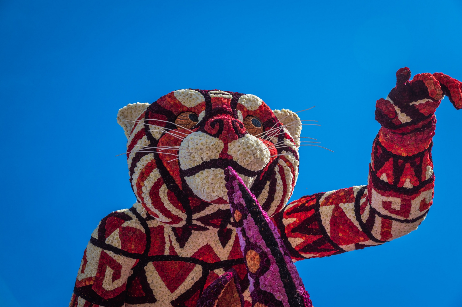 Alebrijes, Foto Charles van Campenhout