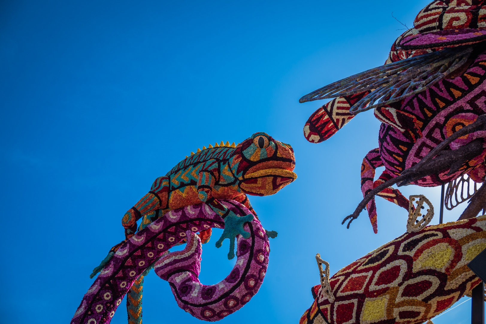 Alebrijes, Foto Charles van Campenhout