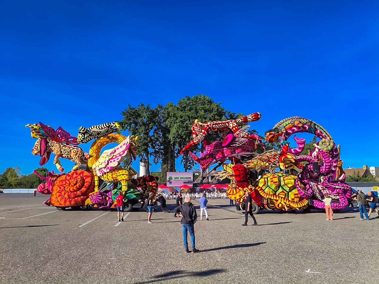 Alebrijes, Foto Charles van Campenhout