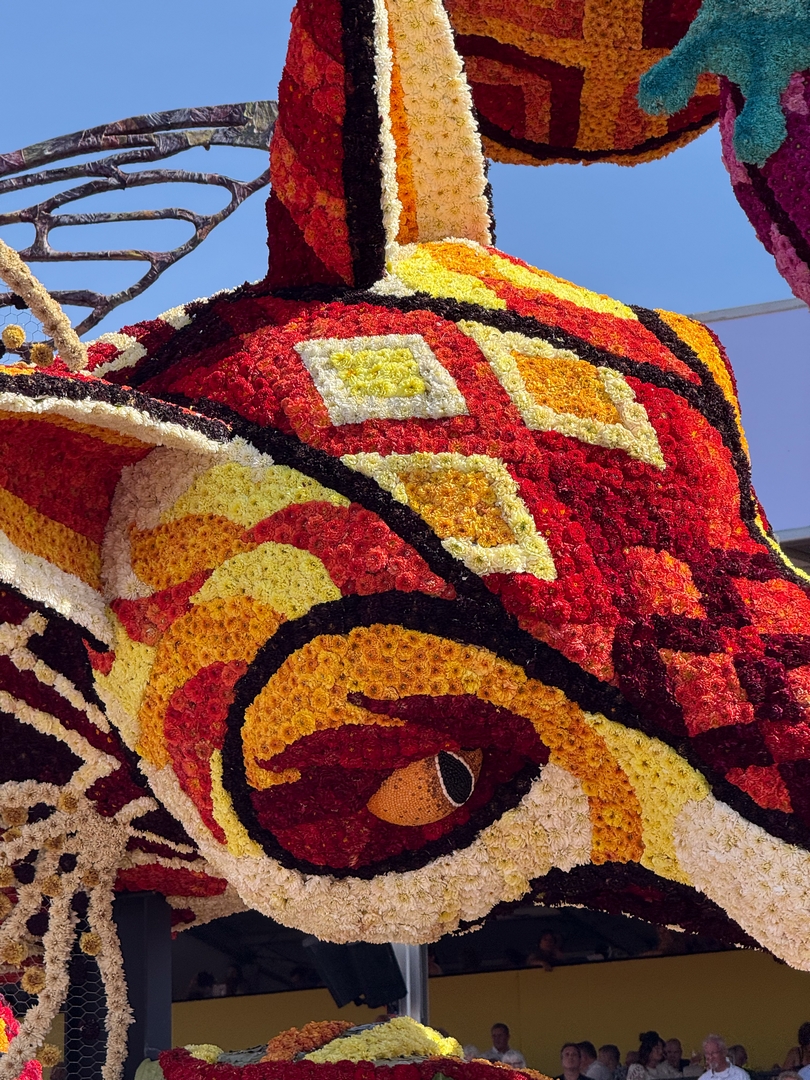 Alebrijes, Foto Joeri Sannen