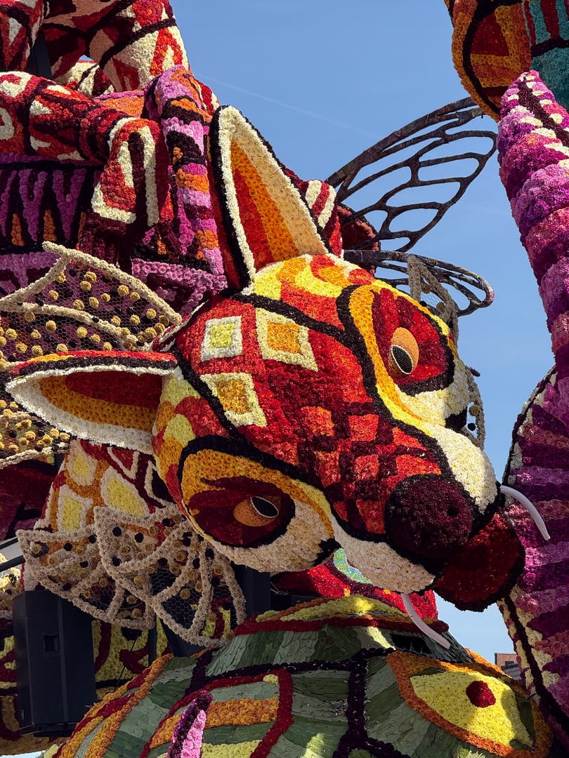 Alebrijes, Foto Joeri Sannen