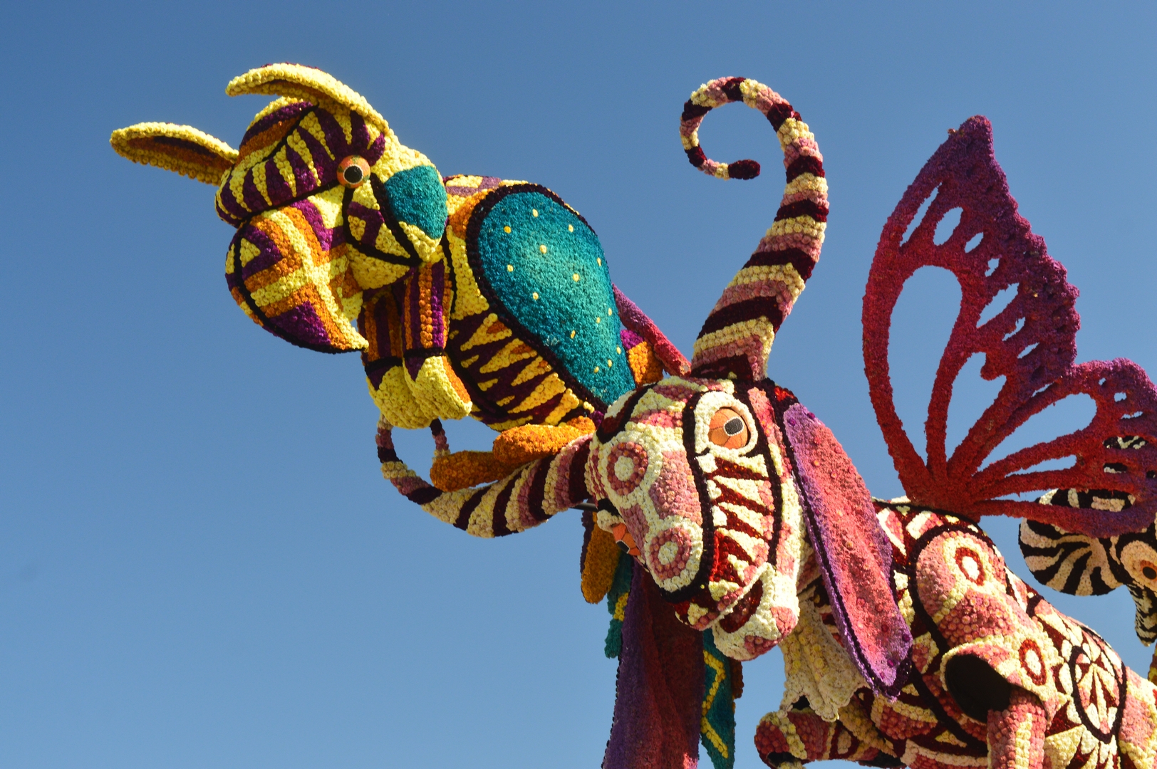 Alebrijes, Foto Joeri Sannen