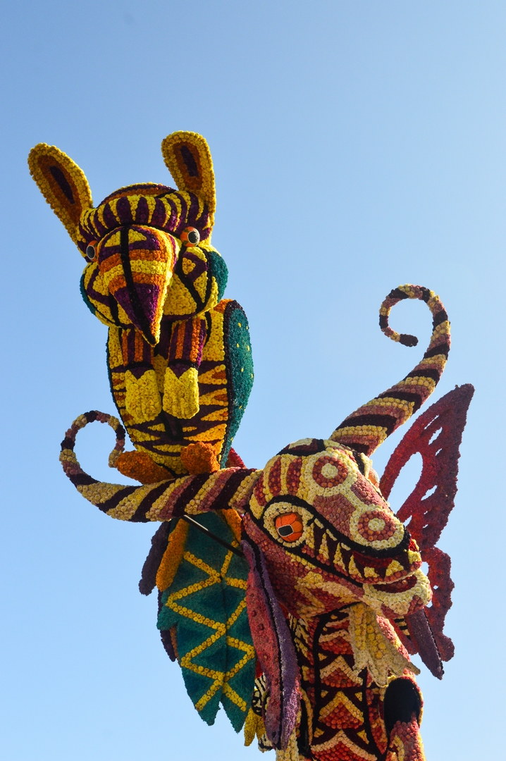 Alebrijes, Foto Joeri Sannen