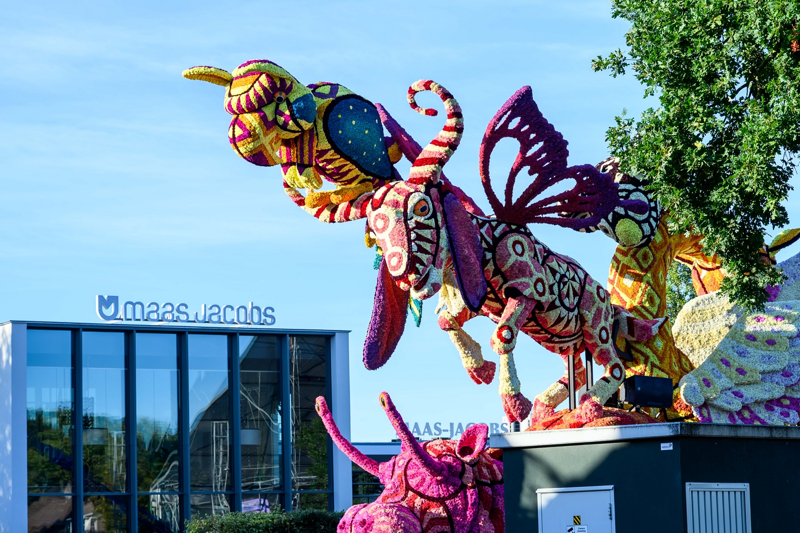 Alebrijes, Foto José van Trijp fotografie