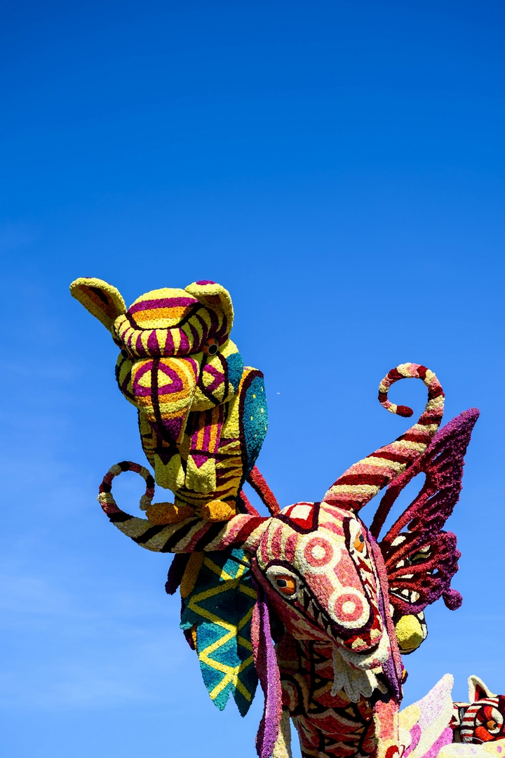 Alebrijes, Foto José van Trijp fotografie