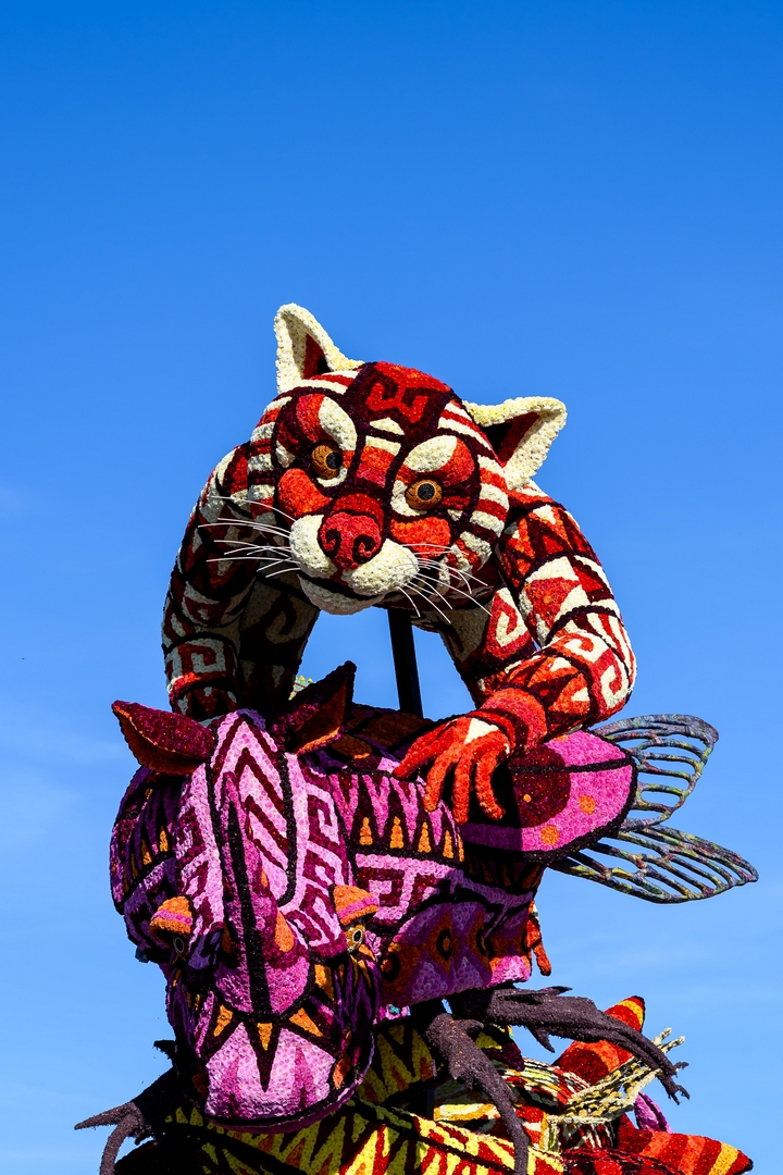 Alebrijes, Foto José van Trijp fotografie