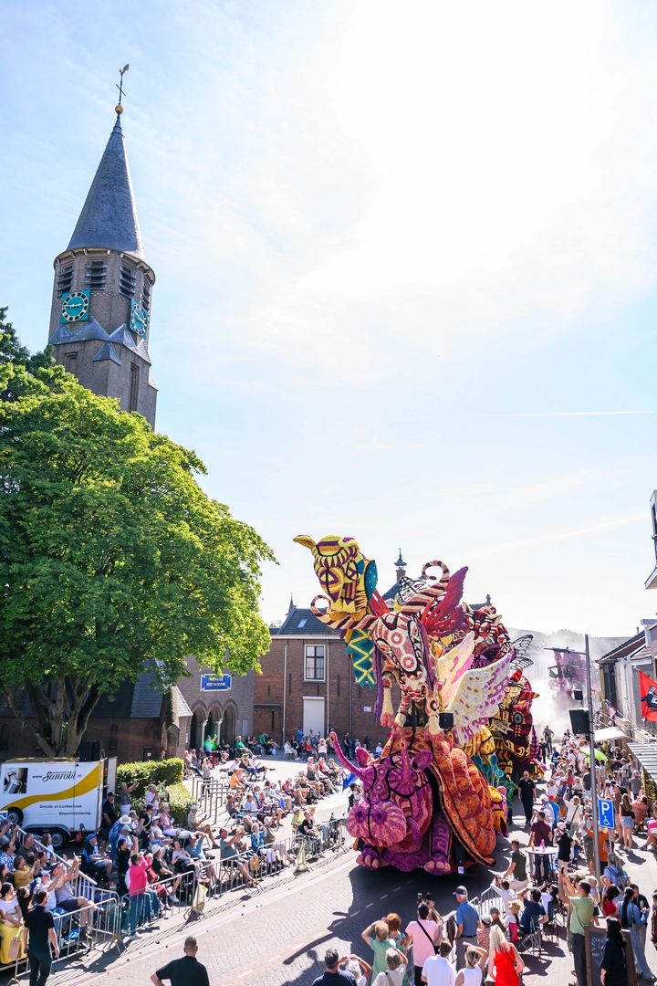 Alebrijes, Foto José van Trijp fotografie