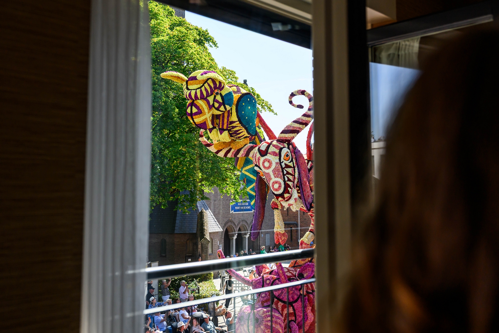 Alebrijes, Foto José van Trijp fotografie
