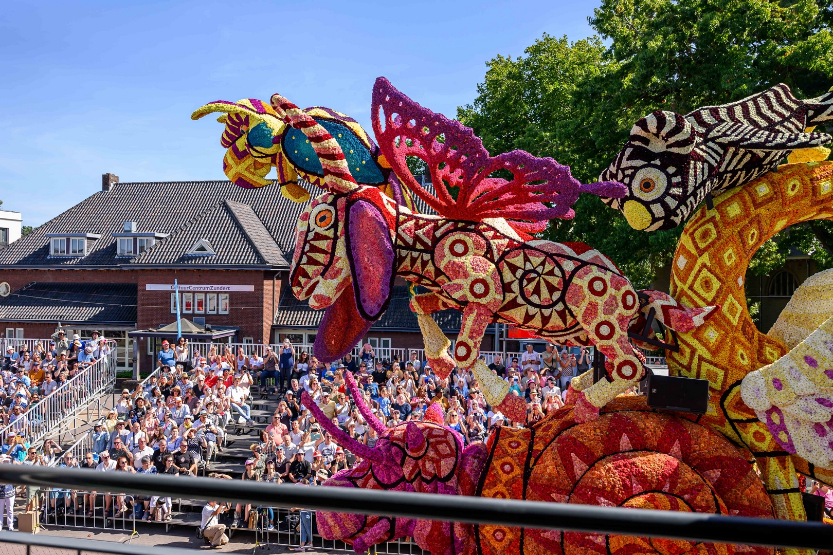 Alebrijes, Foto José van Trijp fotografie