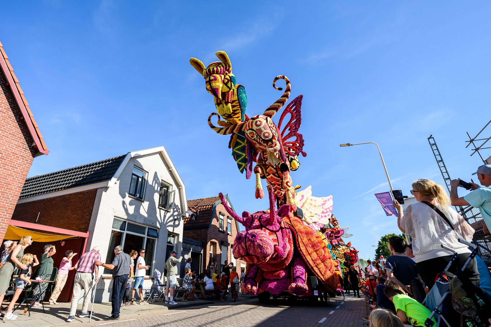 Alebrijes, Foto José van Trijp fotografie