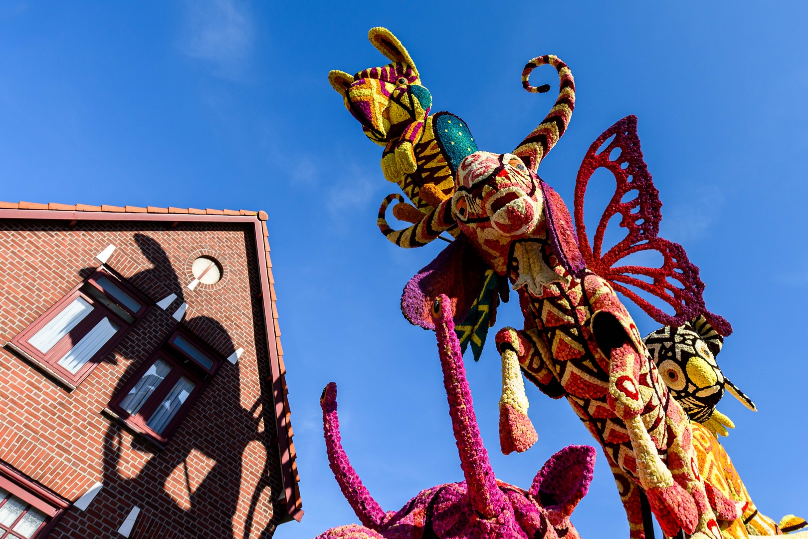 Alebrijes, Foto José van Trijp fotografie