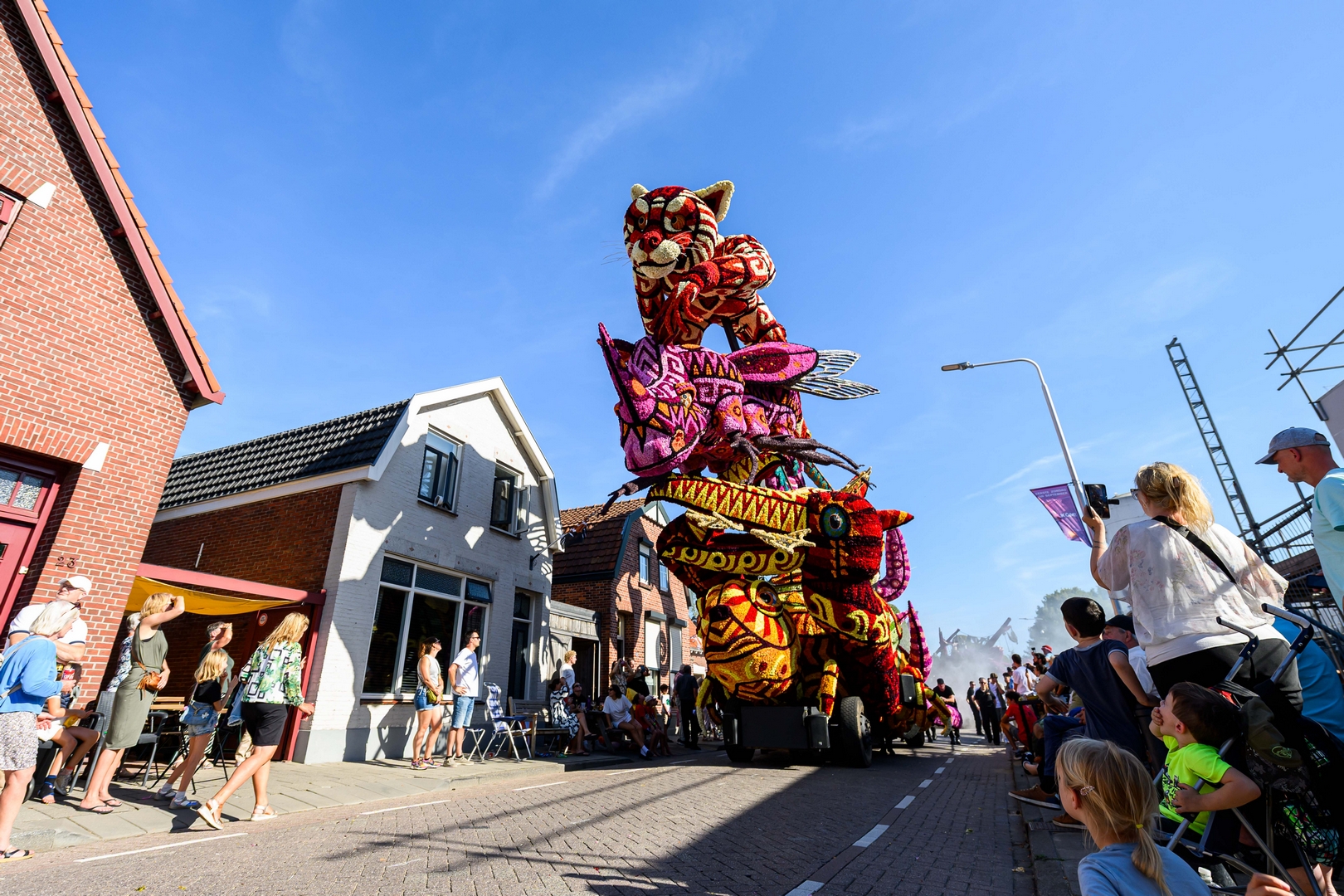 Alebrijes, Foto José van Trijp fotografie