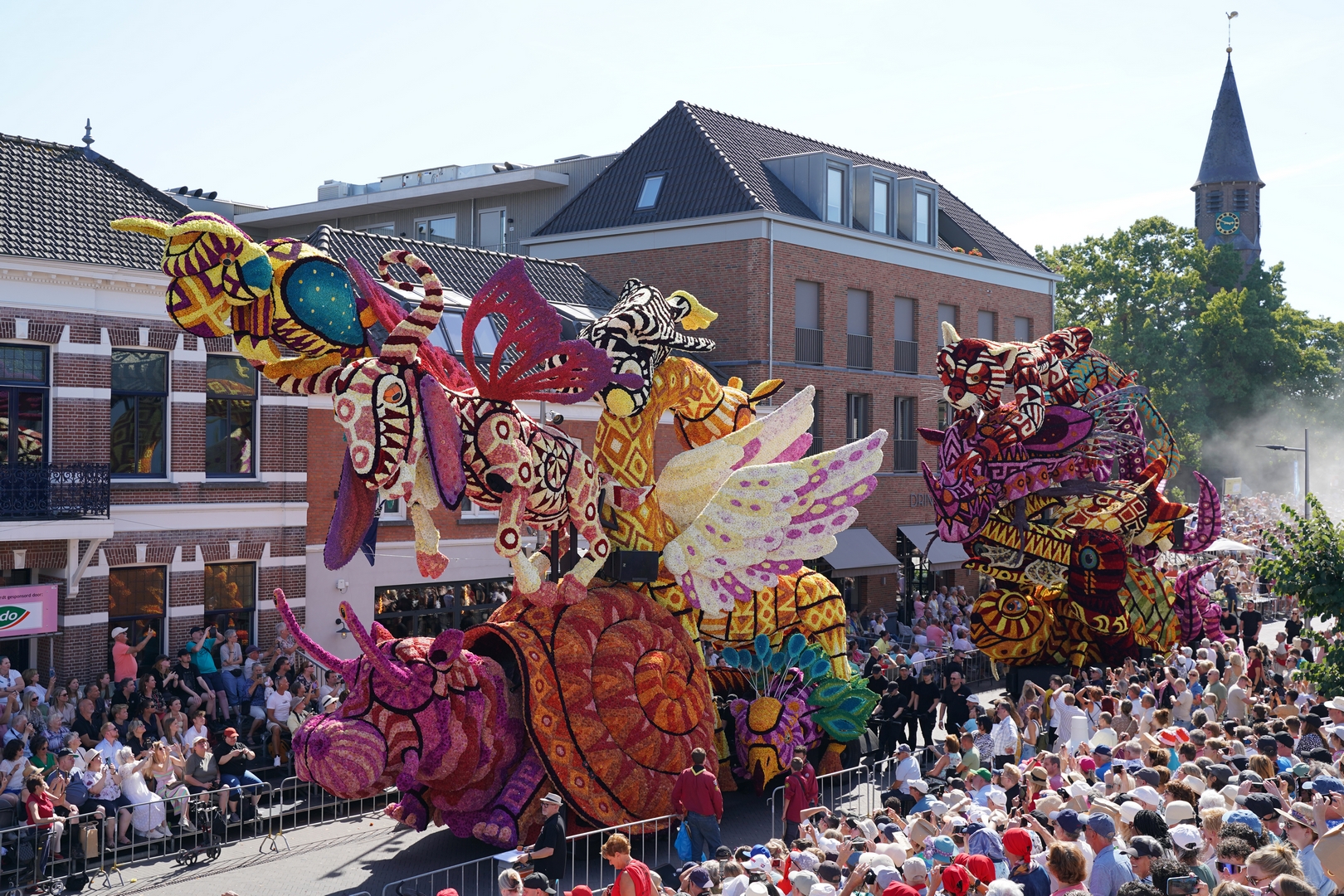 Alebrijes, Foto Fotografie Sander Vlug