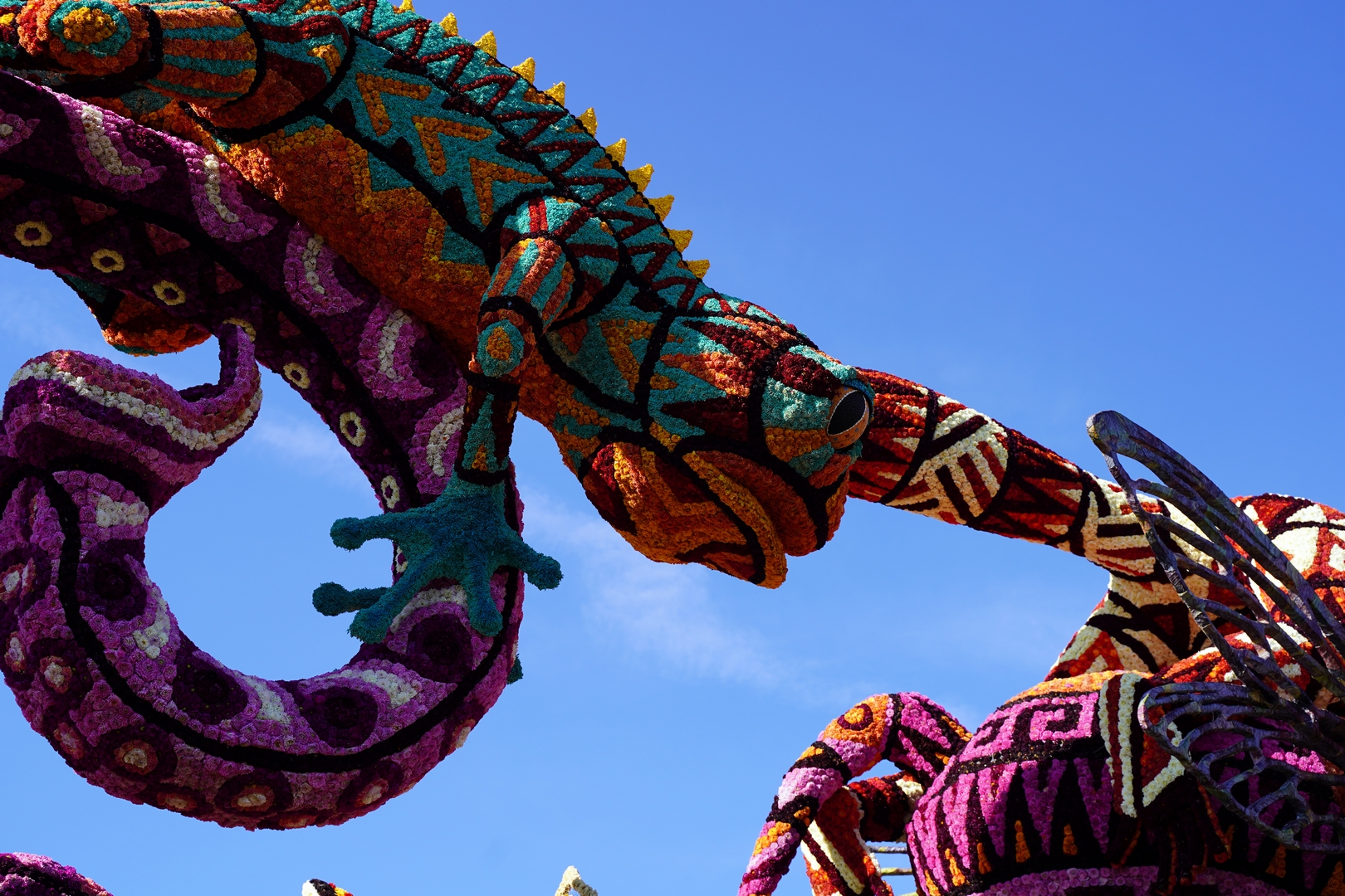 Alebrijes, Foto Fotografie Sander Vlug